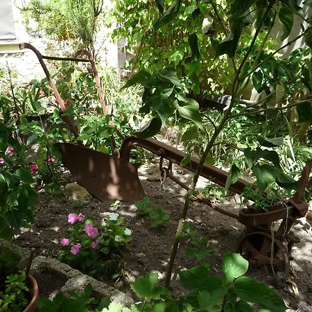 Bed & Breakfast Nonna Peppina Mogoro